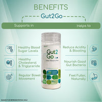 Gut2Go Triple Fiber Supplement