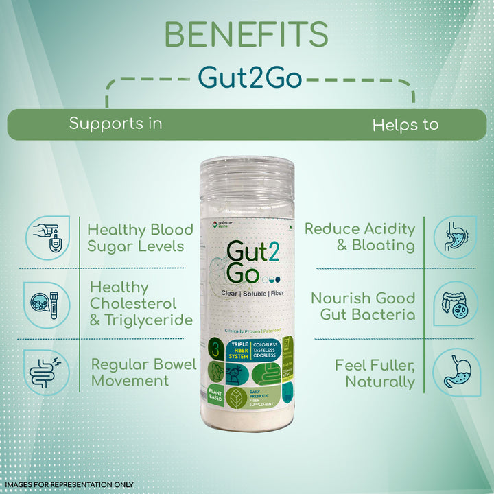 Gut2Go Triple Fiber Supplement