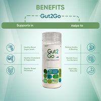 <span style="color:#687831;font-weight: bolder;">Gut2Go</span> <span style="color:#559f92;font-weight: bolder;"> Triple Fiber Supplement</span>