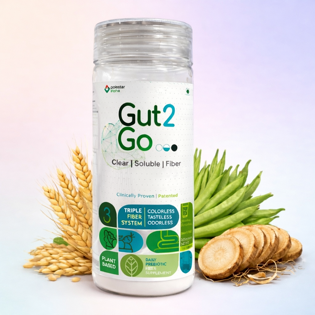 Gut2Go Triple Fiber Supplement