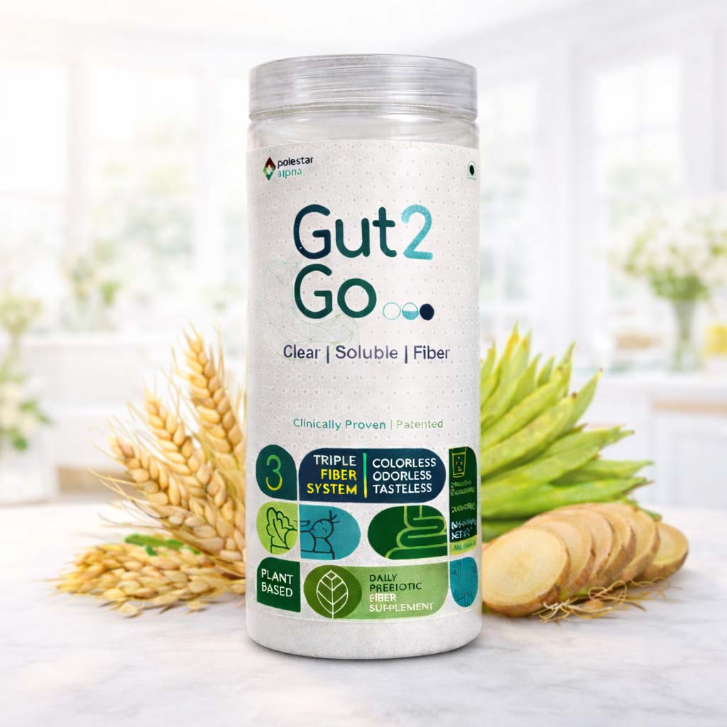 Gut2Go Triple Fiber Supplement