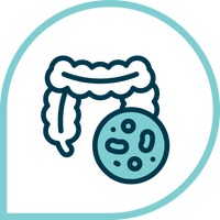 Nourish Good Gut Bacteria