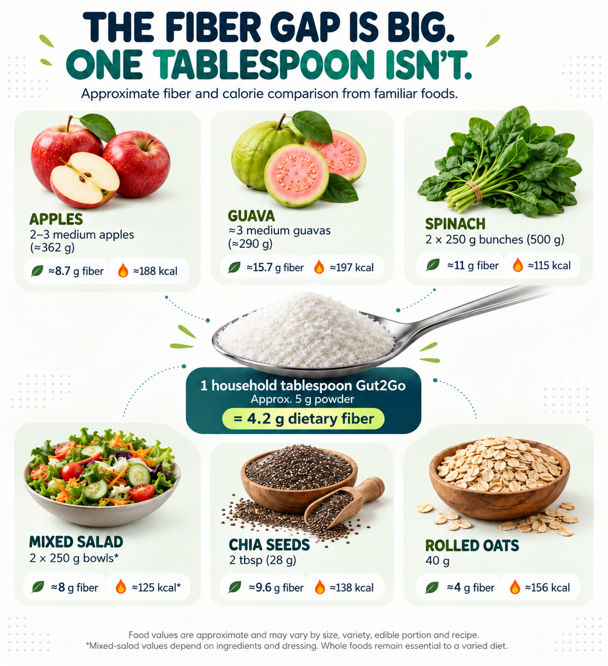 My Daily Gut Fiber