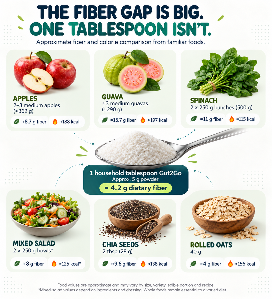 My Daily Gut Fiber